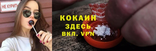марки lsd Новозыбков