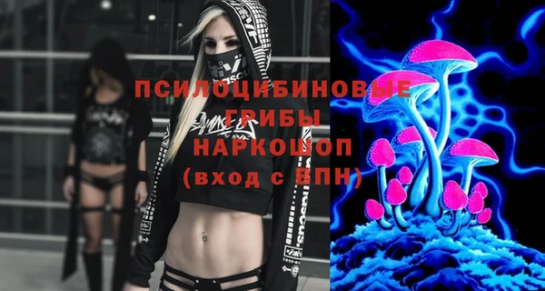 марки lsd Новозыбков