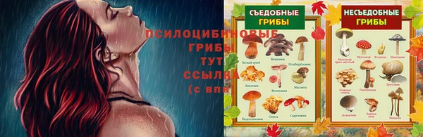 марки lsd Новозыбков