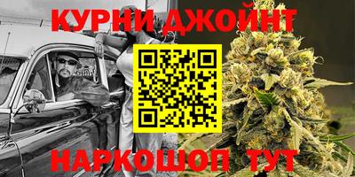 индика Жуковский