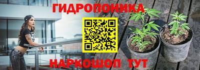 индика Жуковский