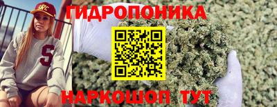 индика Жуковский