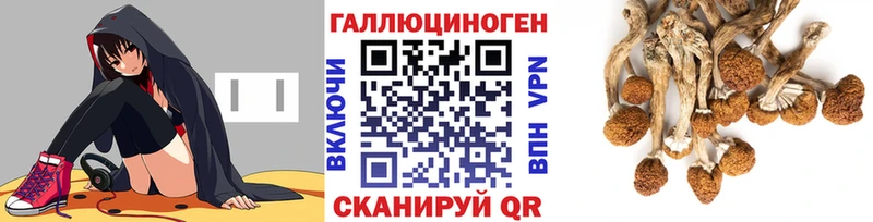 МЕГА онион  Новочебоксарск  Псилоцибиновые грибы MAGIC MUSHROOMS 